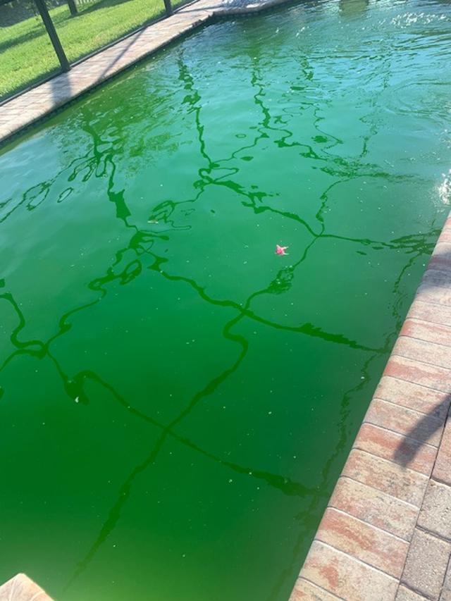 Green pool before restoration
